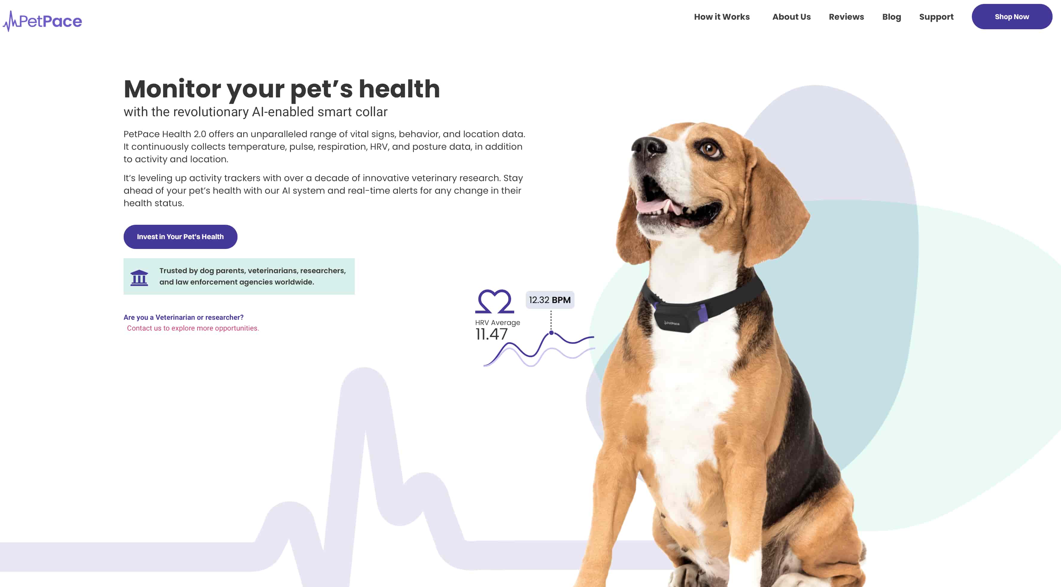 petpace-screenshot-homepage.jpg