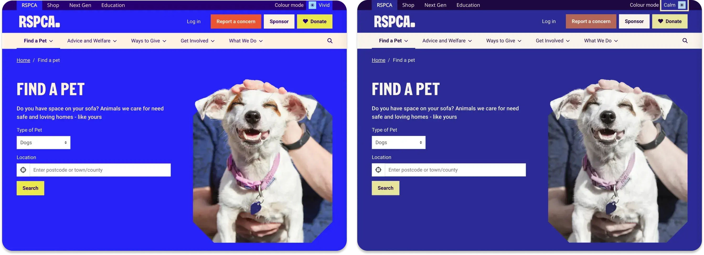 RSPCA UK Case Study